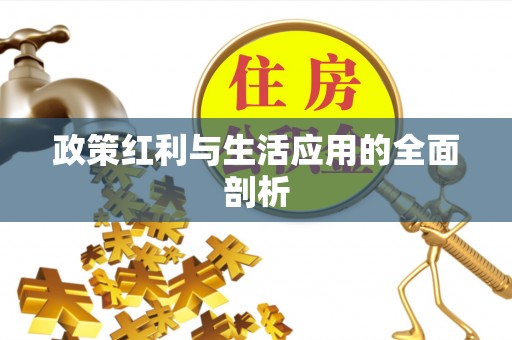 瑞丽政策红利与生活应用的全面剖析