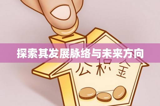 瑞丽探索其发展脉络与未来方向