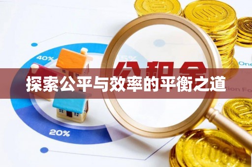 瑞丽探索公平与效率的平衡之道