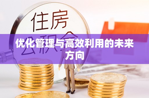 瑞丽优化管理与高效利用的未来方向