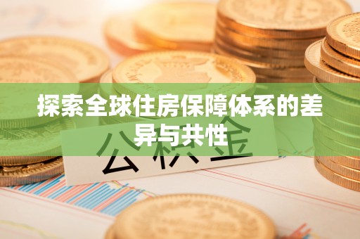瑞丽探索全球住房保障体系的差异与共性