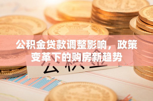 瑞丽公积金贷款调整影响，政策变革下的购房新趋势
