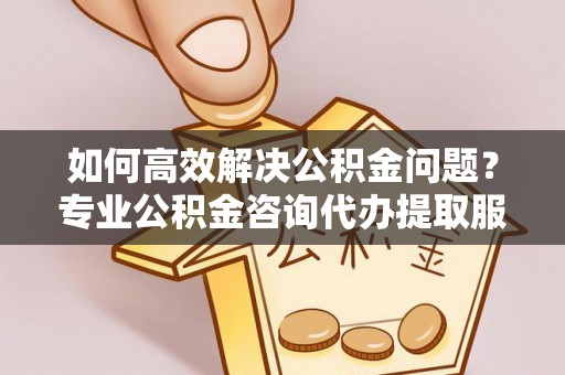 瑞丽如何高效解决公积金问题？专业公积金咨询代办提取服务来帮你