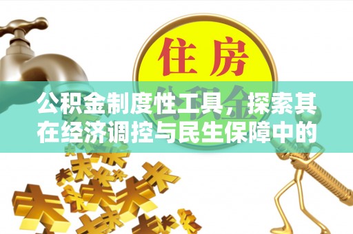 瑞丽公积金制度性工具，探索其在经济调控与民生保障中的重要作用