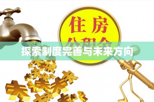 瑞丽探索制度完善与未来方向
