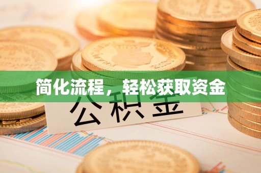 瑞丽简化流程，轻松获取资金