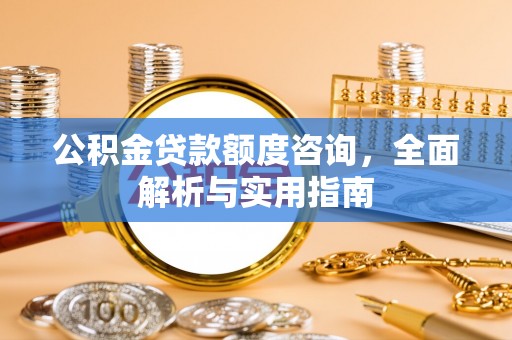 瑞丽公积金贷款额度咨询，全面解析与实用指南