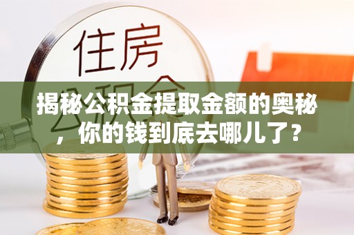 瑞丽揭秘公积金提取金额的奥秘，你的钱到底去哪儿了？
