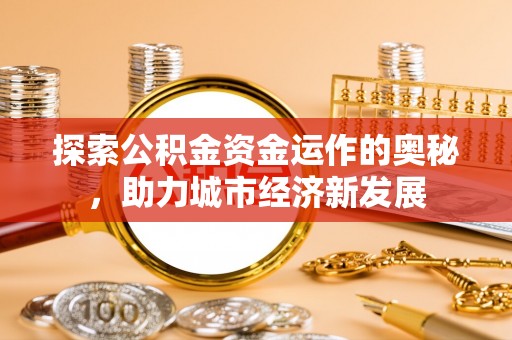 瑞丽探索公积金资金运作的奥秘，助力城市经济新发展
