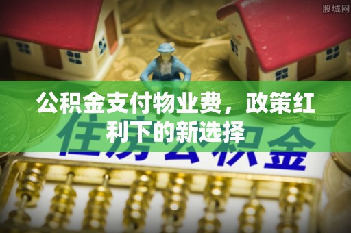 瑞丽公积金支付物业费，政策红利下的新选择