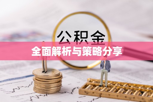 瑞丽全面解析与策略分享