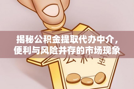 瑞丽揭秘公积金提取代办中介，便利与风险并存的市场现象