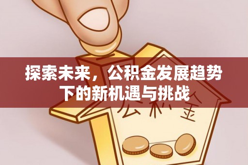瑞丽探索未来，公积金发展趋势下的新机遇与挑战