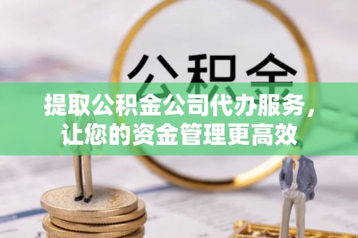 瑞丽提取公积金公司代办服务，让您的资金管理更高效