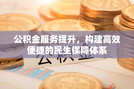 瑞丽公积金服务提升，构建高效便捷的民生保障体系