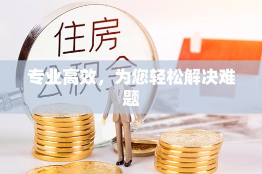 瑞丽专业高效，为您轻松解决难题