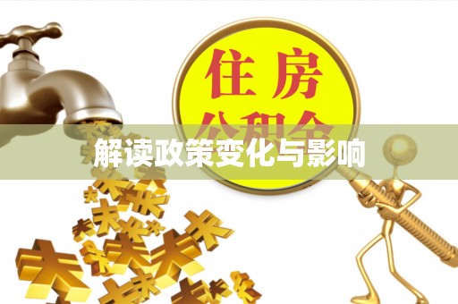 瑞丽解读政策变化与影响