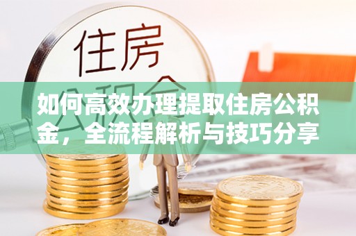 瑞丽如何高效办理提取住房公积金，全流程解析与技巧分享