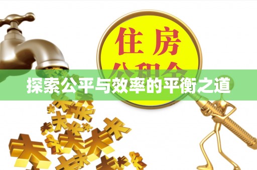 瑞丽探索公平与效率的平衡之道