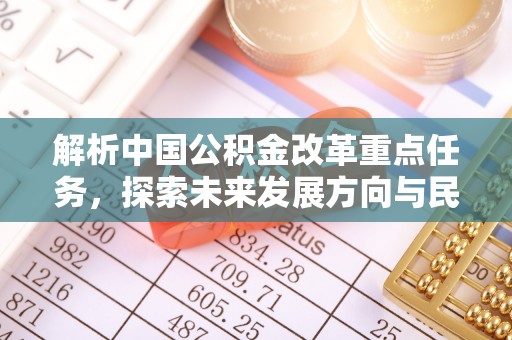 瑞丽解析中国公积金改革重点任务，探索未来发展方向与民生影响