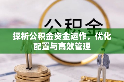瑞丽探析公积金资金运作，优化配置与高效管理