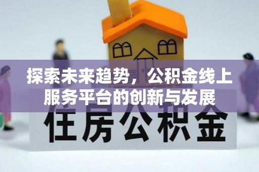 瑞丽探索未来趋势，公积金线上服务平台的创新与发展