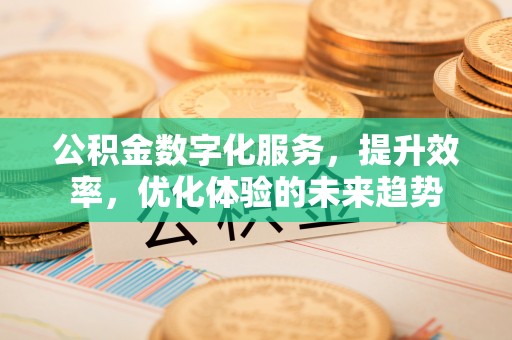 瑞丽公积金数字化服务，提升效率，优化体验的未来趋势