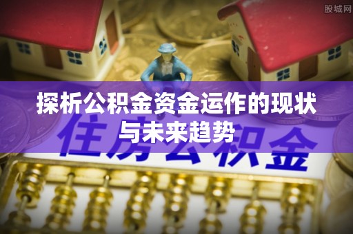 瑞丽探析公积金资金运作的现状与未来趋势