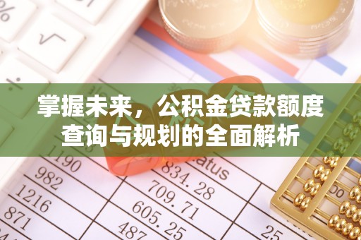 瑞丽掌握未来，公积金贷款额度查询与规划的全面解析