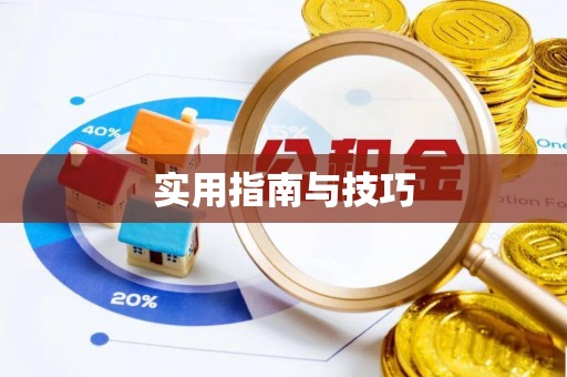瑞丽实用指南与技巧