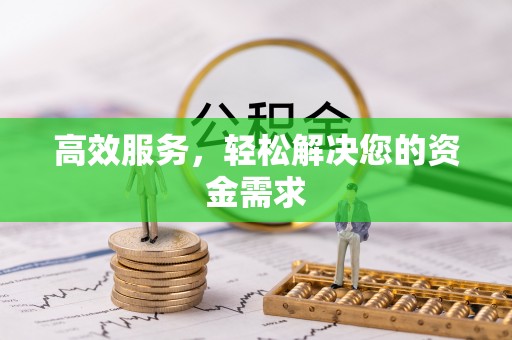 瑞丽高效服务，轻松解决您的资金需求