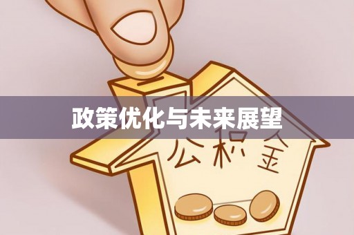 瑞丽政策优化与未来展望