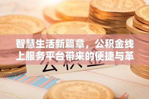 瑞丽智慧生活新篇章，公积金线上服务平台带来的便捷与革新
