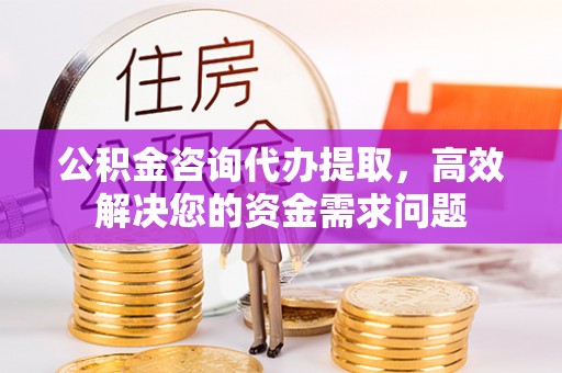 瑞丽公积金咨询代办提取，高效解决您的资金需求问题