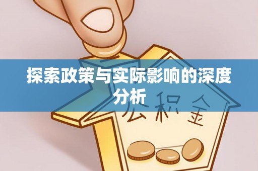 瑞丽探索政策与实际影响的深度分析