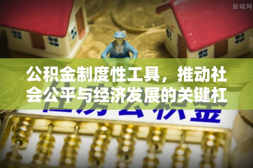 瑞丽公积金制度性工具，推动社会公平与经济发展的关键杠杆
