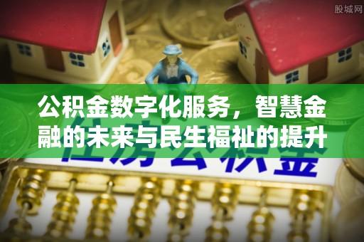 瑞丽公积金数字化服务，智慧金融的未来与民生福祉的提升