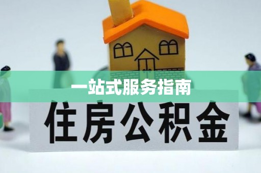 瑞丽一站式服务指南