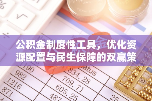 瑞丽公积金制度性工具，优化资源配置与民生保障的双赢策略