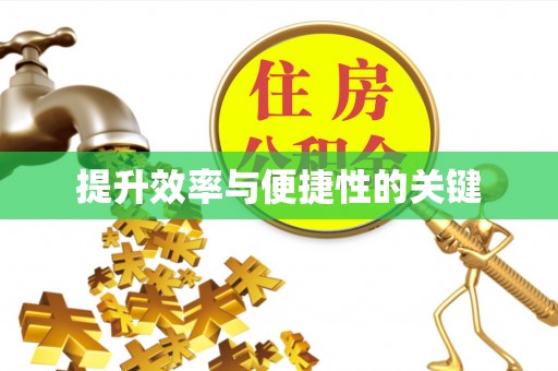 瑞丽提升效率与便捷性的关键