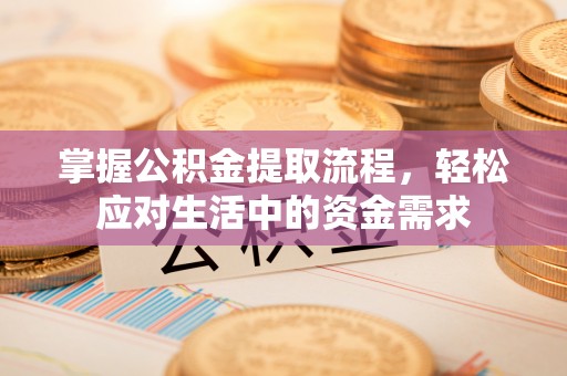 瑞丽掌握公积金提取流程，轻松应对生活中的资金需求