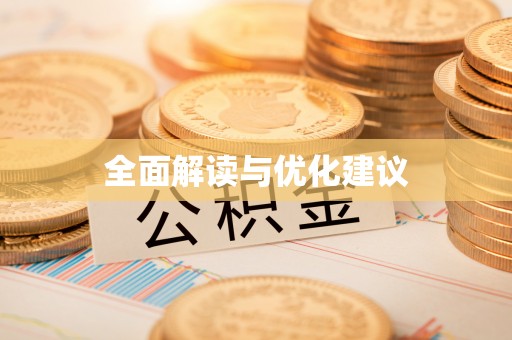 瑞丽全面解读与优化建议