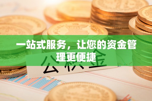 瑞丽一站式服务，让您的资金管理更便捷