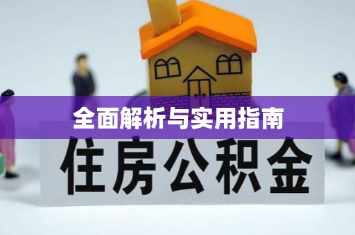 瑞丽全面解析与实用指南