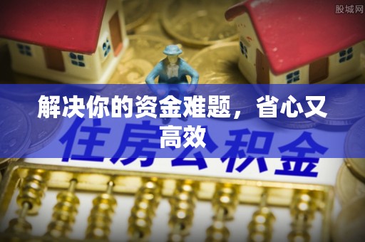 瑞丽解决你的资金难题，省心又高效
