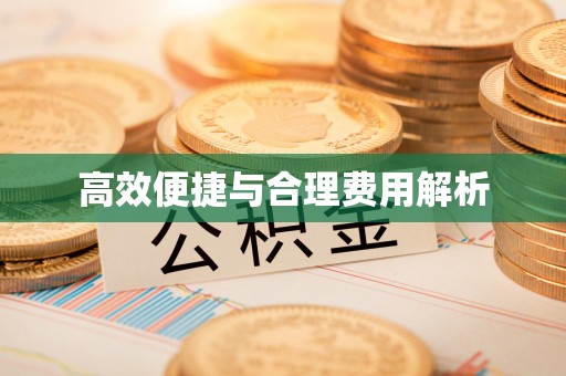瑞丽高效便捷与合理费用解析
