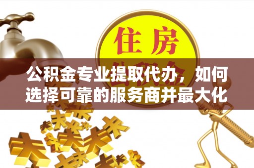 瑞丽公积金专业提取代办，如何选择可靠的服务商并最大化你的资金收益