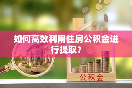 瑞丽如何高效利用住房公积金进行提取？