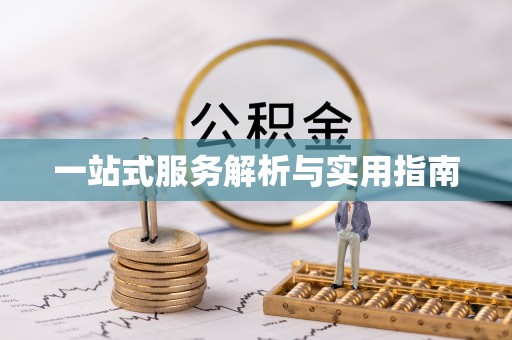 瑞丽一站式服务解析与实用指南
