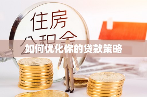 瑞丽如何优化你的贷款策略